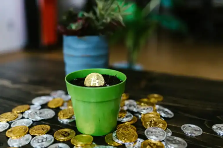 Government-Backed Cryptocurrencies - Bitcoin in a Flower Pot